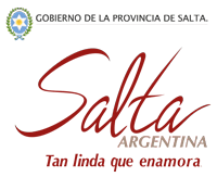 Gobierno de Salta